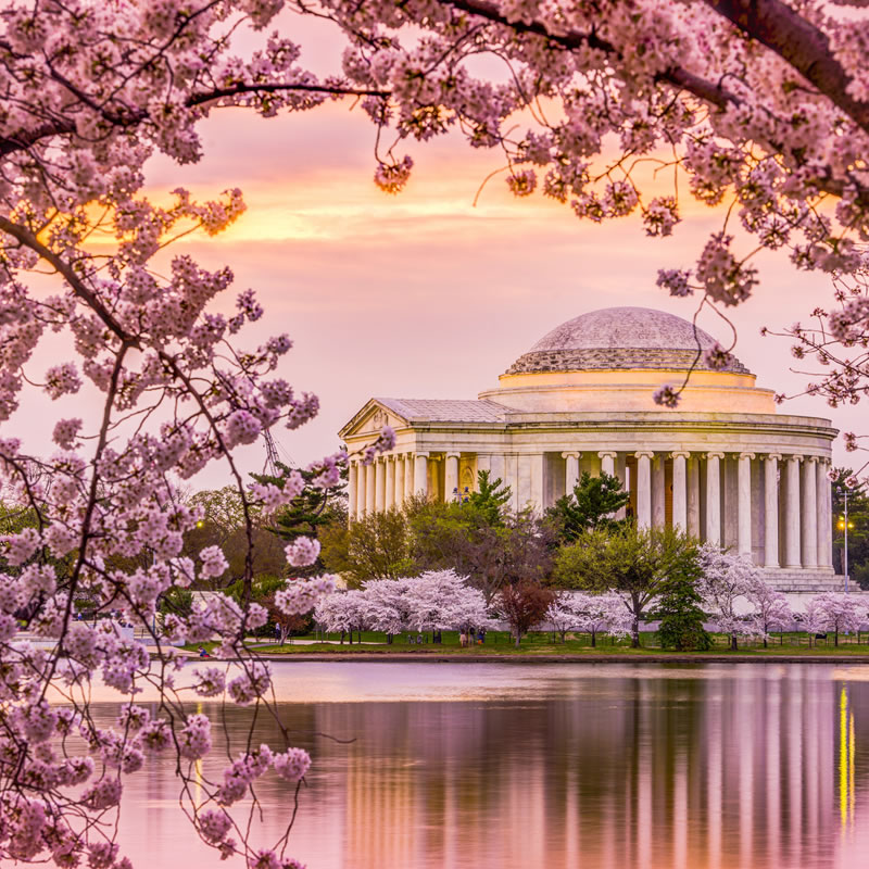 6th Grade Washington Tour