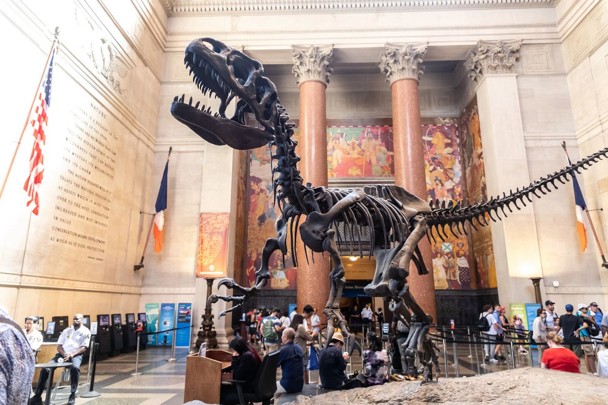 Museum of Natural History lg