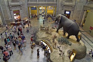 Smithsonian history museum in Washington DC