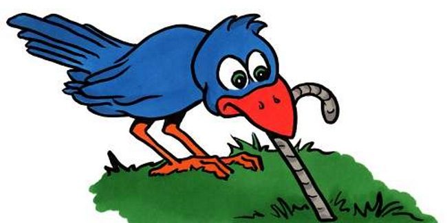 early bird gets the worm